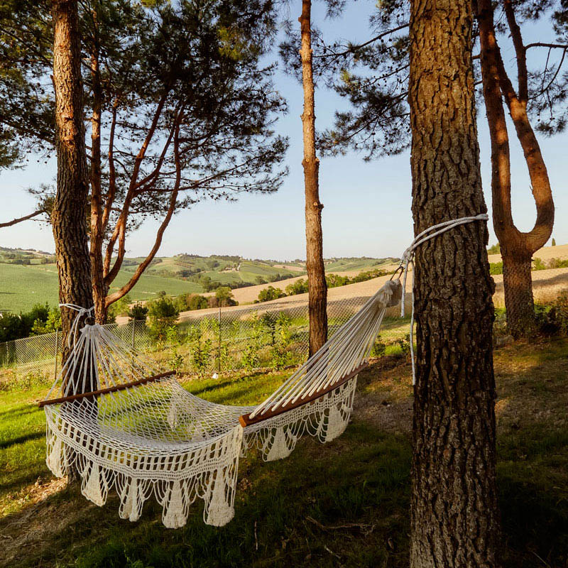 Amaca tra gli alberi in un boschetto con vista sulle colline marchigiane. Naturaverde Residenza
